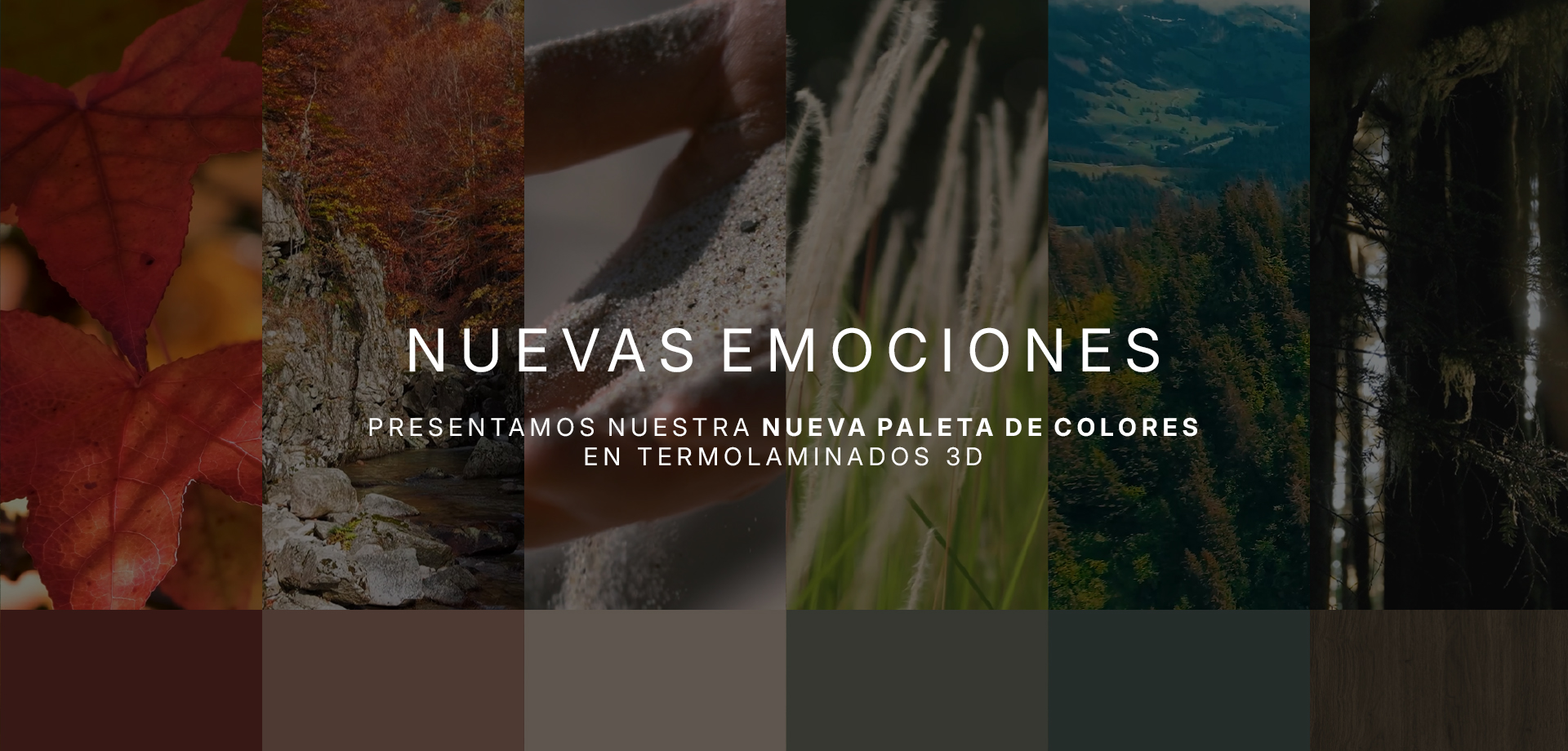 Promoción / Anuncio